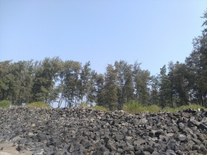 Varsoli, Nagaon and Kashid Beach Trip