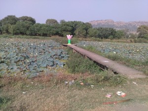 Varsoli, Nagaon and Kashid Beach Trip