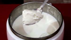 Voltmi Yogurt Maker Review